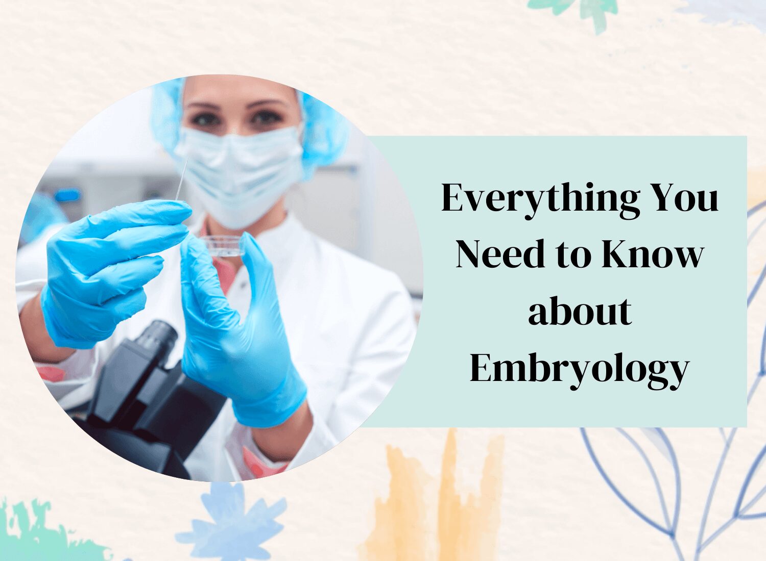Everything You Need to Know about Embryology 12 exc-60951bbb0d88342a049c1418