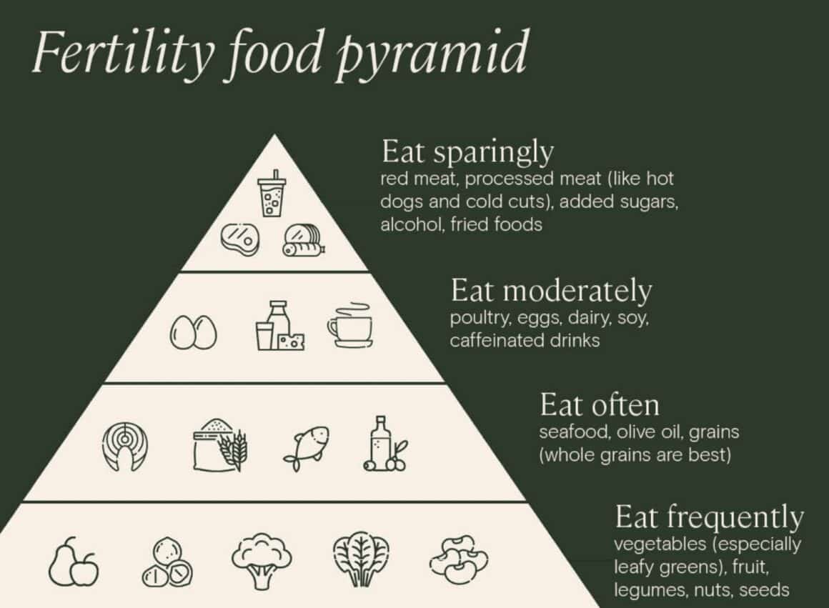 wellbeing-gut-health-sperm-health-male-fertility wellbeing-gut-health-sperm-health-male-fertility