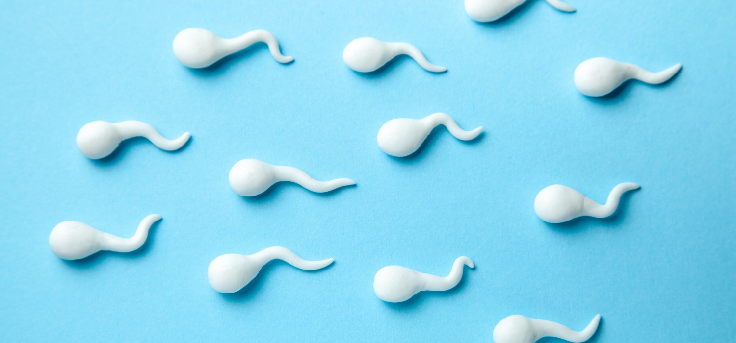 A Guide to Sperm DNA Fragmentation