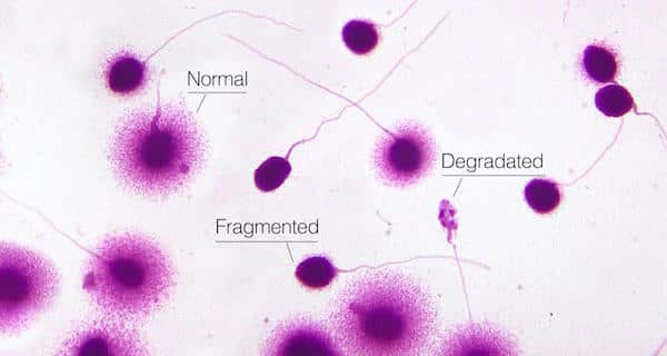 Legacy has been compressed 3 Legacy-has-been-compressed-3-