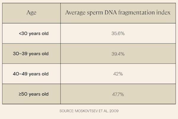 Legacy has been compressed 4 Legacy-has-been-compressed-4-