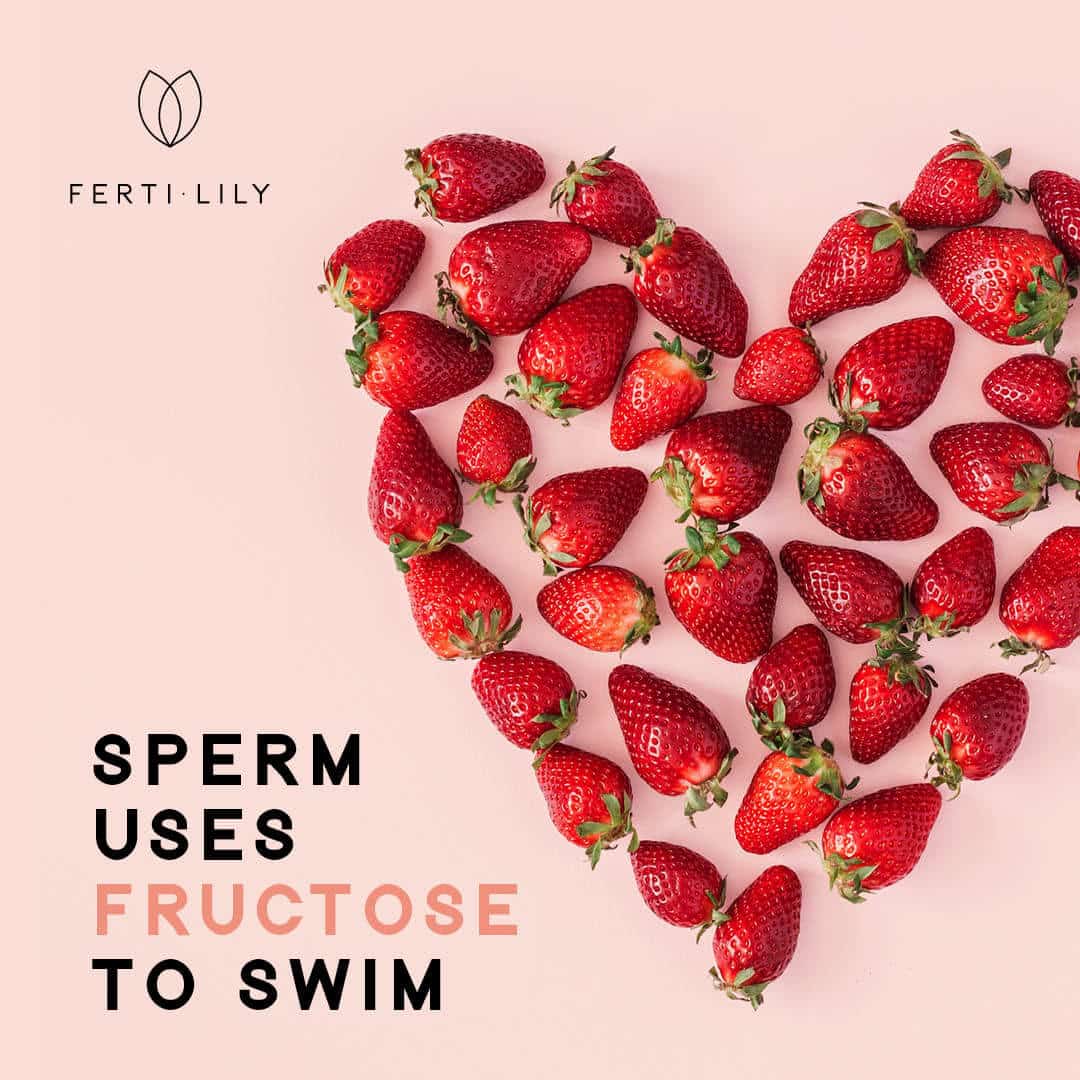 Sperm uses fructose to swin (1) Sperm-uses-fructose-to-swin-1