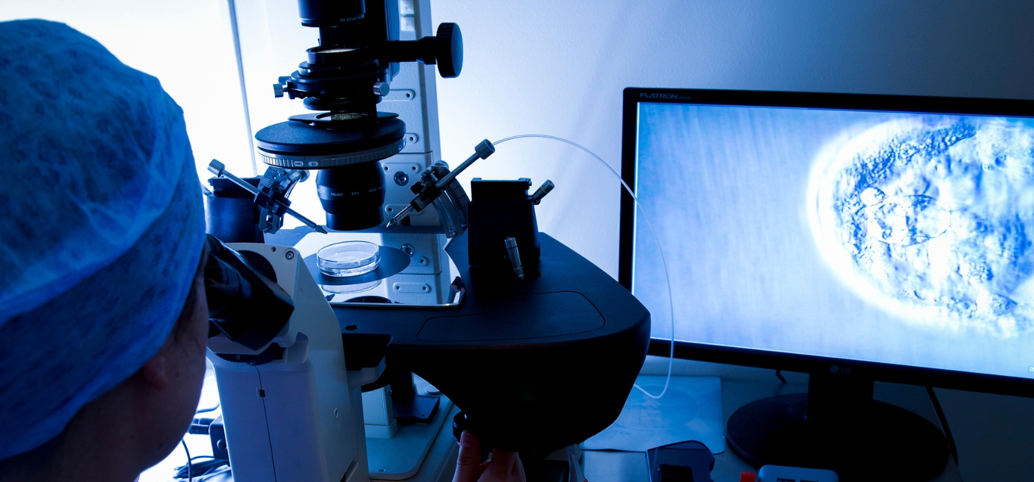 Everything you need to know about <i>hatching blastocysts</i> 10 hatching-blastocysts-wijnland-fertility