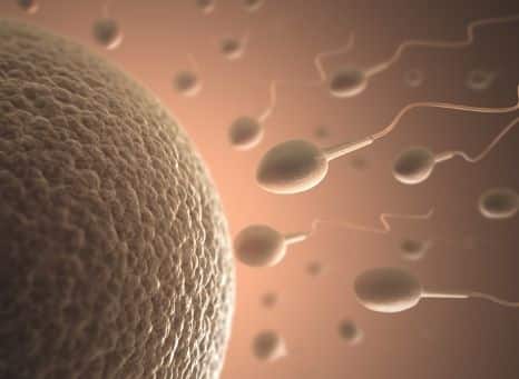twoplus-home-insemination-sperm-guide-2