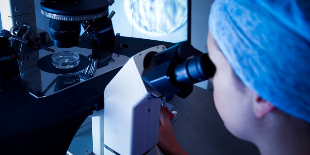 TFP-Fertility-UK-embryologist- grade-embryos TFP-Fertility-UK-embryologist- grade-embryos