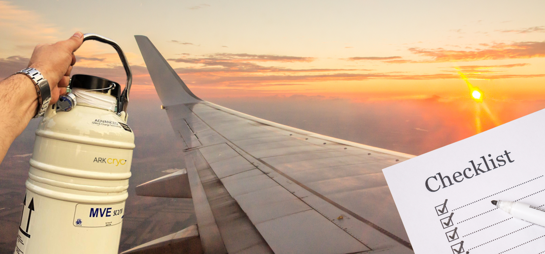 transporting frozen embryos