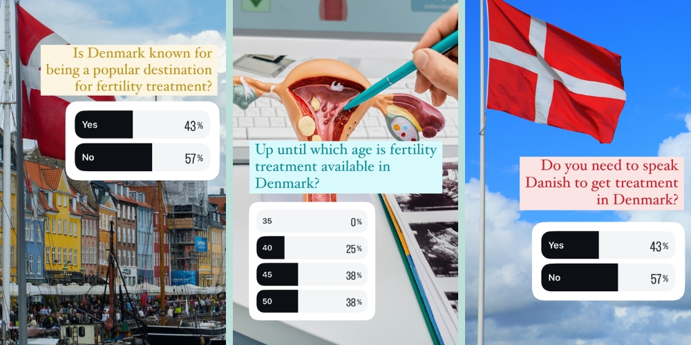 fertility treatment Denmark questions fertility treatment Denmark questions
