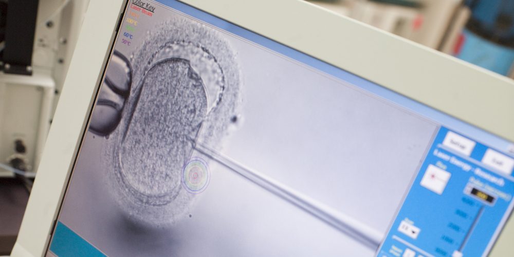 medicated vs natural frozen embryo transfer medicated vs natural frozen embryo transfer