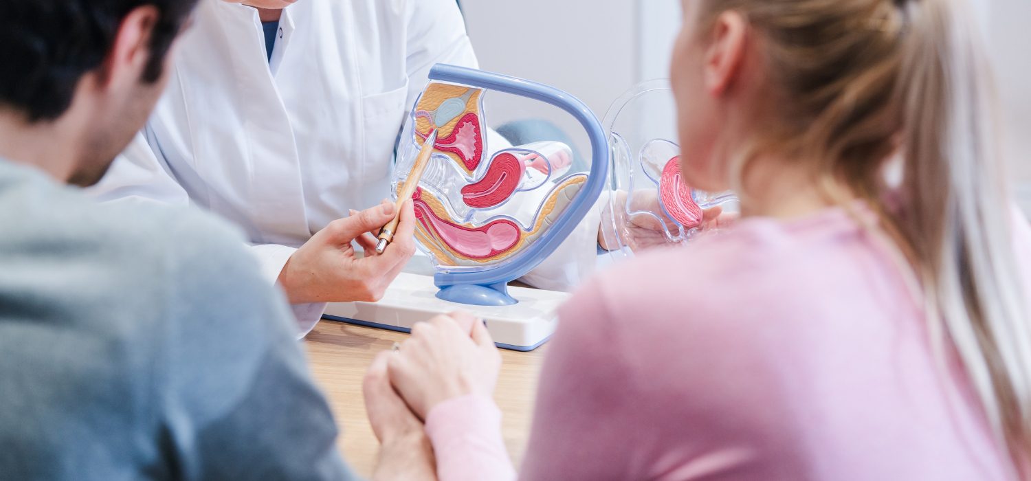 how to improve sperm morphology