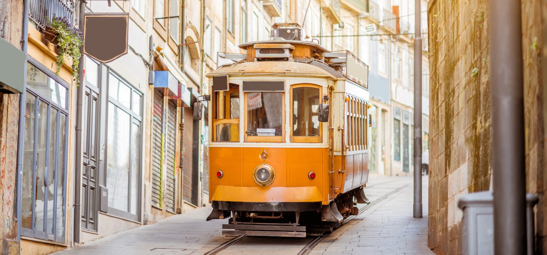 ivf porto guide