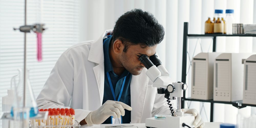 sperm regeneration cycle​