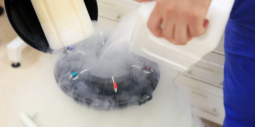 can frozen embryos be transported safely can frozen embryos be transported safely