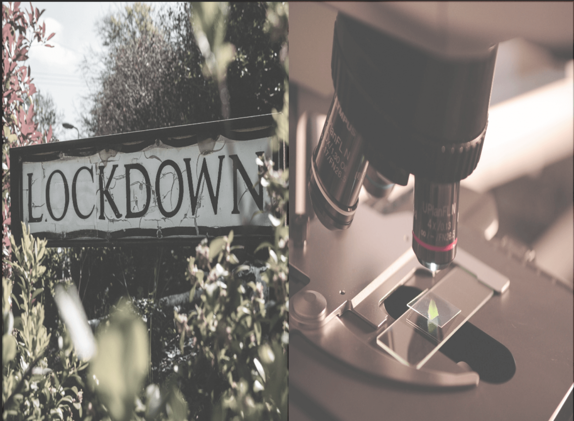 the agora corona virus