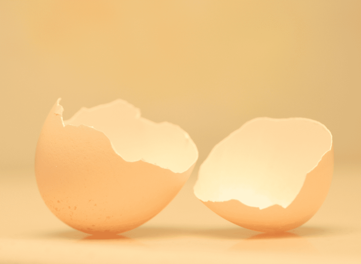 NEFI Cheaper alternative to surrogacy and egg donation