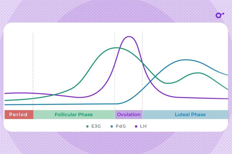 Anovulatory Cycles Can I Still Get Pregnant? Expert Guide