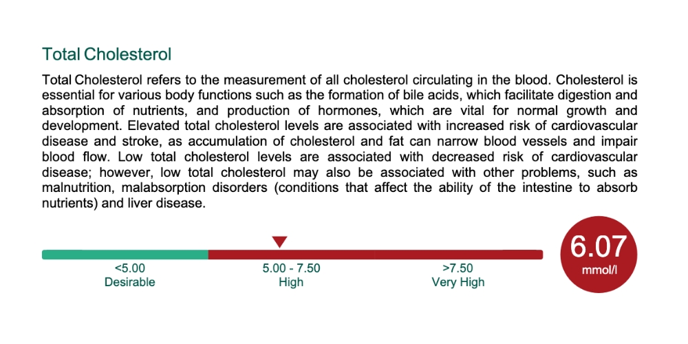 health screening london randox results
