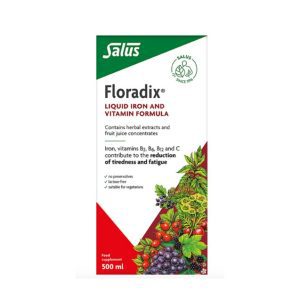 Our editor’s best-kept <i>winter supplement secrets</i> for surviving sick season 4 Floradix Liquid Iron Formula 500ml