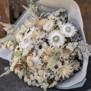 holly.co dried flowers