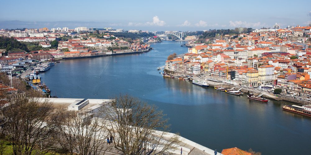ivf porto portugal ivf porto portugal